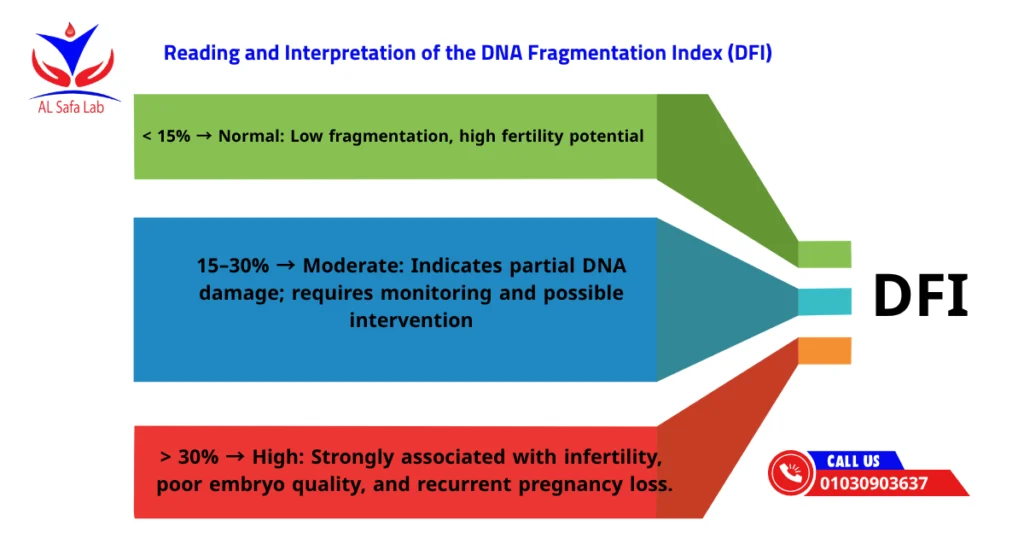 DNA Fragmentation