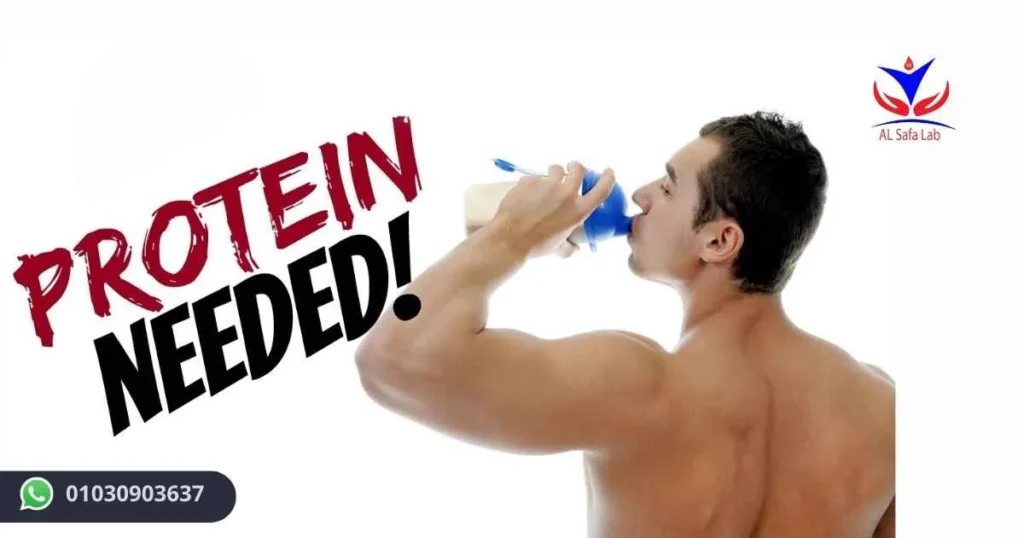Weight Gain Protein