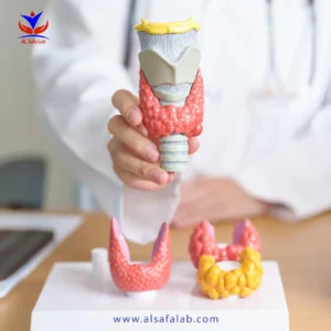 Thyroid Function Tests