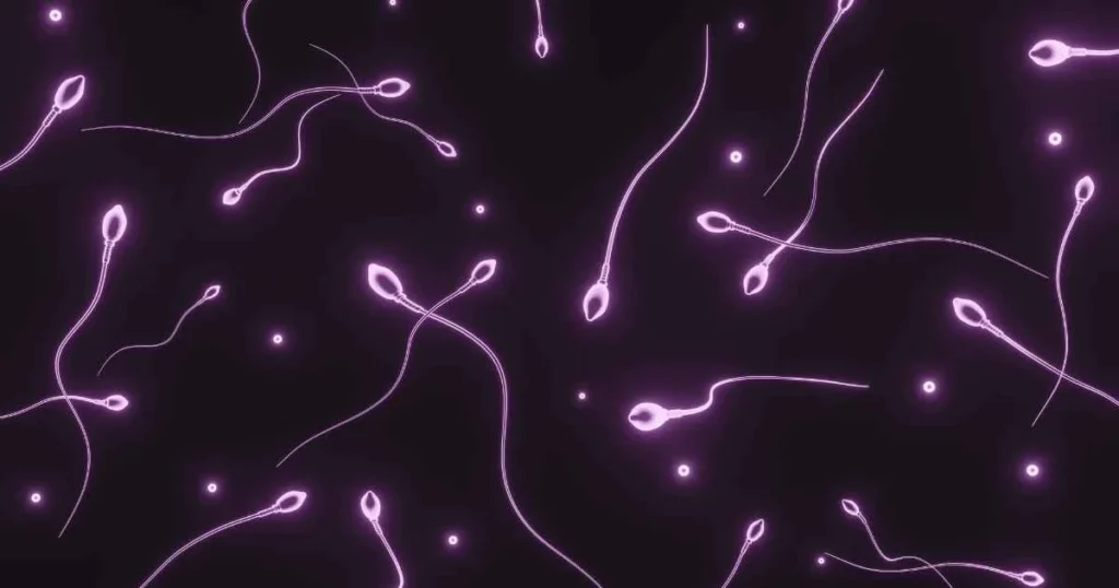 Computer-Assisted Semen Analysis CASA
