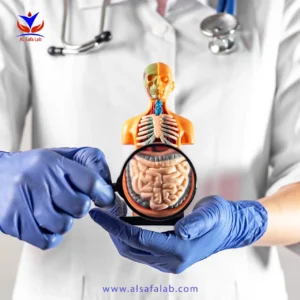 فحوصات الجهاز الهضمي